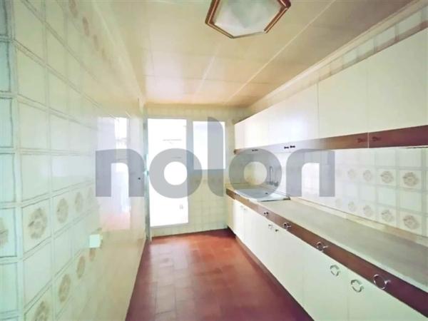 Piso en avenida Juan Carlos I