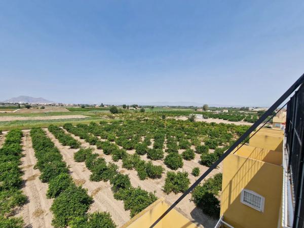 Piso en avenida de Almoradí