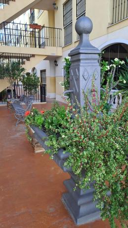 Ático en avenida Reina Sofia, 21