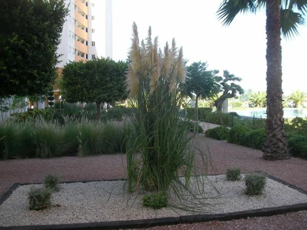 Piso en avenida del Puerto, 35