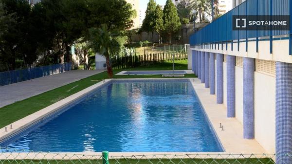 Estudio en alquiler en Benidorm, Alicante