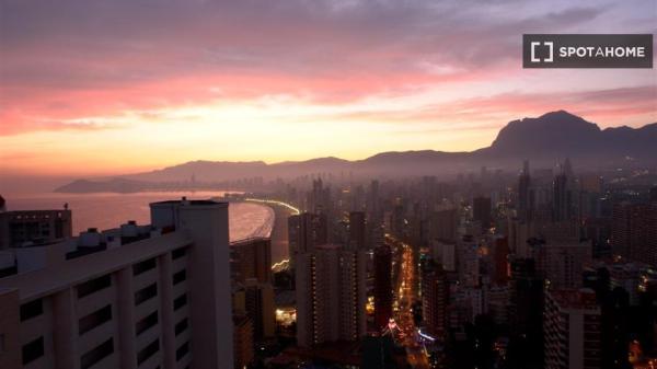 Estudio en alquiler en Benidorm, Alicante