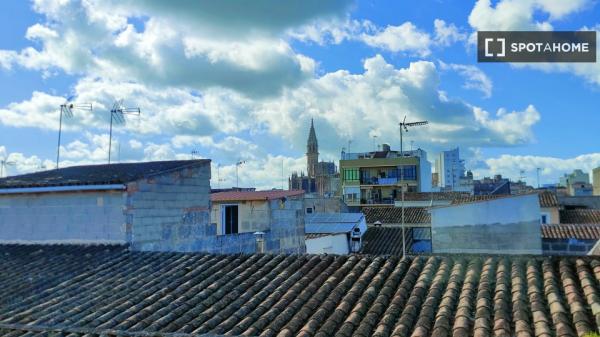 Room in a shared 6-bedroom apartment for rent, Manacor