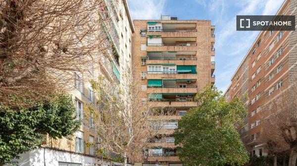 Room in a shared 5-bedroom apartment for rent in Granada.