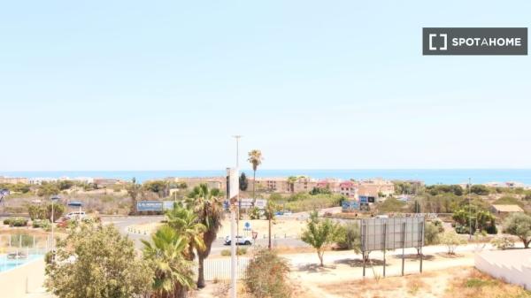 Piso de 3 dormitorios en alquiler en Guardamar, Alicante.