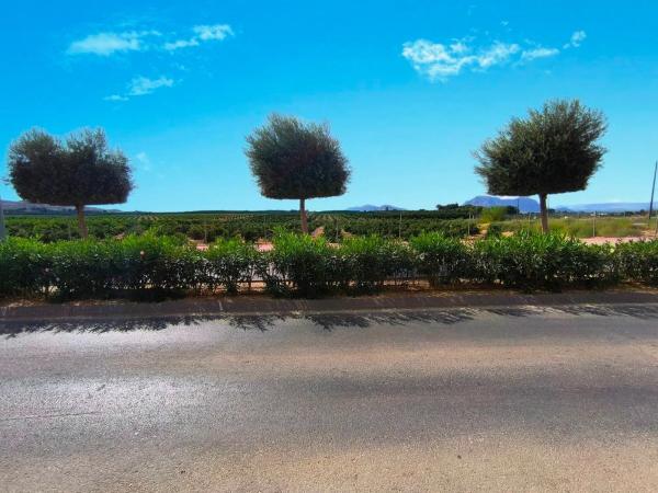 Piso en calle Egidos del Sur, 43