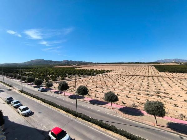 Piso en calle Egidos del Sur, 43