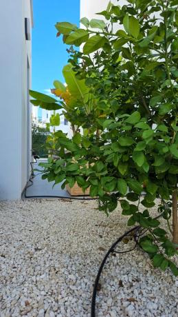 Casa independiente en calle Benito Pérez Galdós, 33