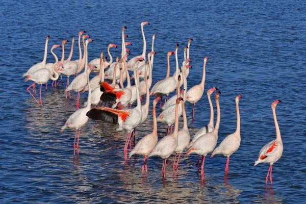 Chalet adosado en calle Maria Zambrano