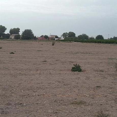 Finca rústica en calle la Bodega