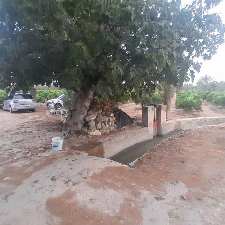 Finca rústica en calle la Bodega