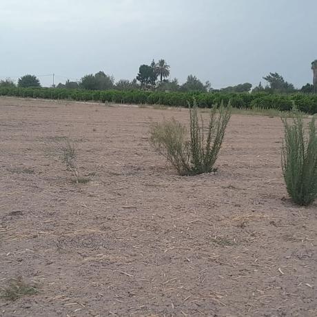 Finca rústica en calle la Bodega