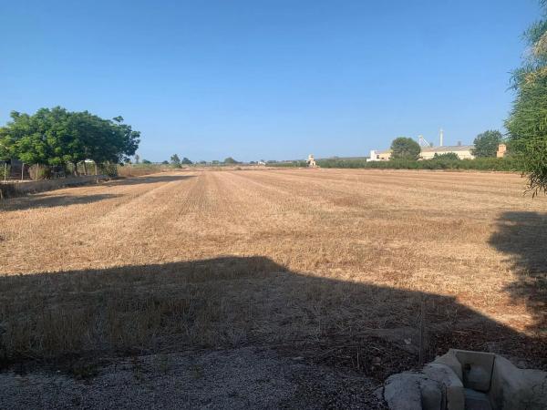 Casa independiente en Partida Llobregales