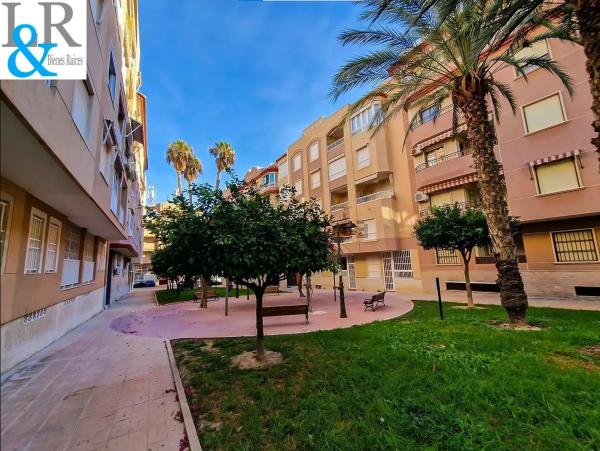 Estudio en calle Dolores Viudes Blasco