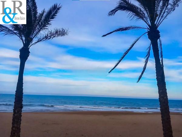 Estudio en calle Dolores Viudes Blasco