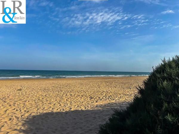 Estudio en calle Dolores Viudes Blasco