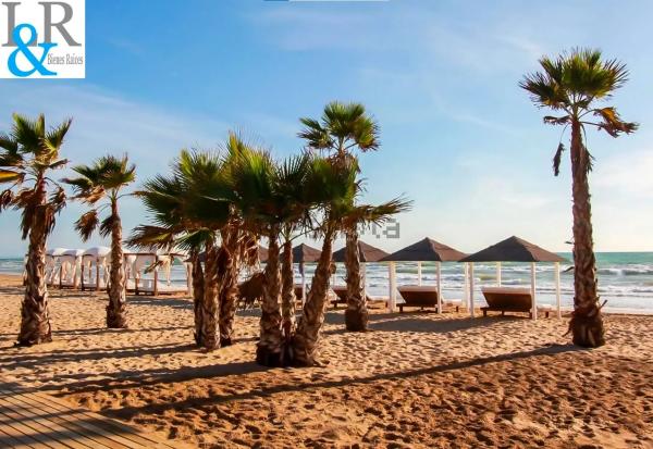 Estudio en calle Dolores Viudes Blasco