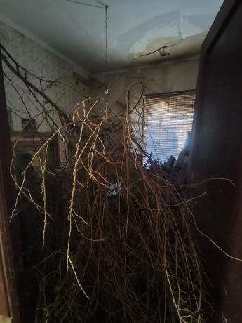 Chalet adosado en CL Armengola