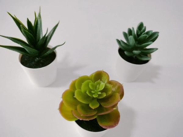 Chalet en Pueblo Latino