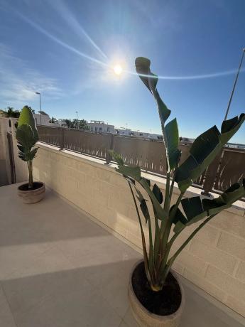 Casa independiente en calle Número Tres, 48