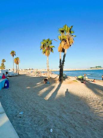 Piso en avenida Doctor Gregorio Marañón, 11