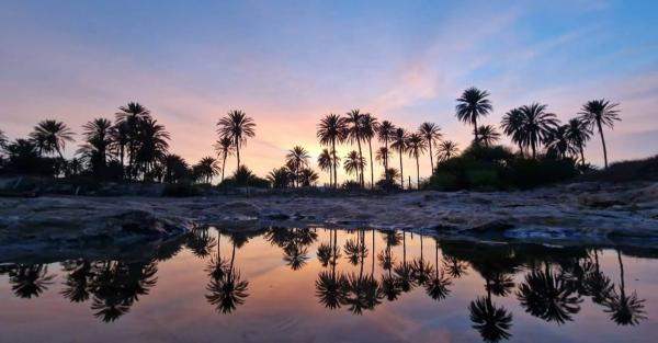Estudio en paseo de los Conquistadores, 19