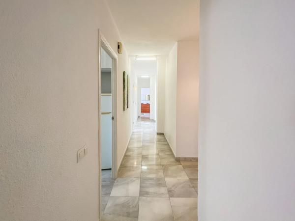 Piso en avenida Virgen del Carmen