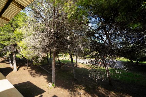 Chalet adosado en calle la Sagra