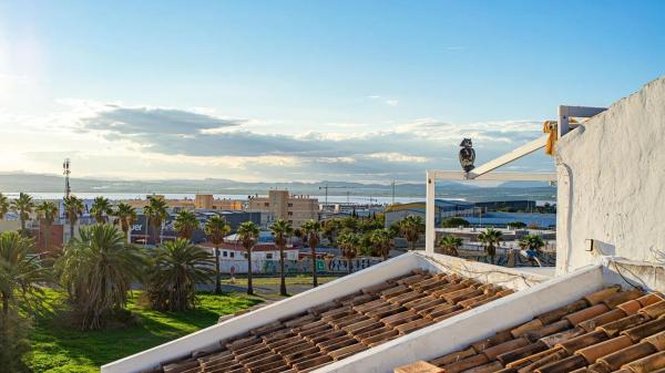 Casa independiente en calle Áncora, 2