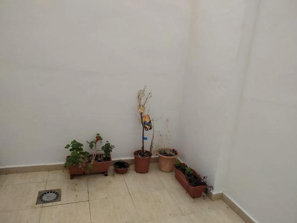 Piso en calle Ramón Gallud, 182