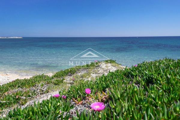Piso en Barrio Avenida Habaneras - Curva de Palangre