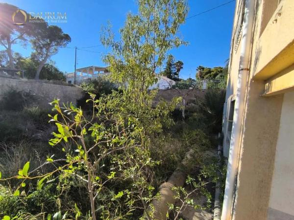 Chalet en Crevillente