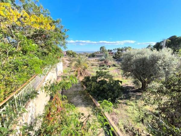 Chalet en Crevillente