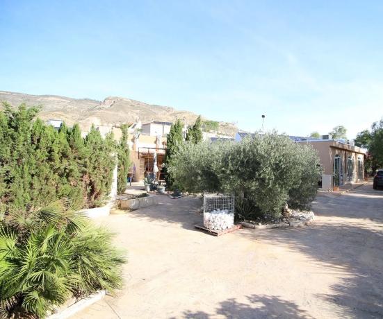 Chalet en Crevillente