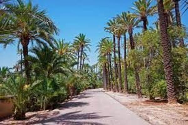 Piso en calle Julio Hervas Sainz