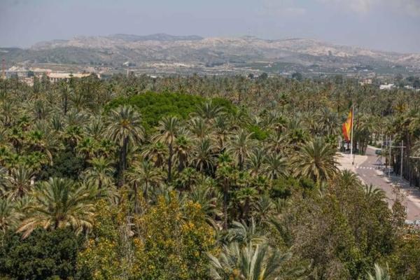 Piso en calle Julio Hervas Sainz