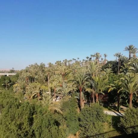 Piso en calle Julio Hervas Sainz