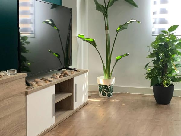 Piso en calle Mare de Déu dels Desamparats