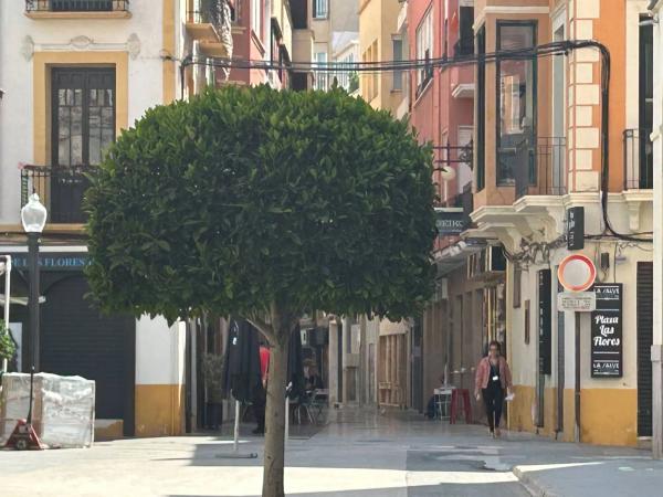 Casa independiente en calle Blas Valero