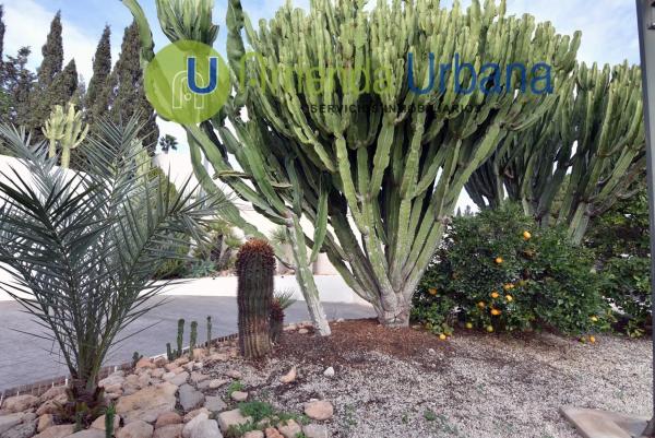 Chalet en calle Pego