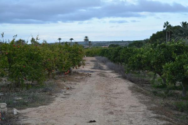 Casa independiente en Partida Valverde Bajo, 2 141
