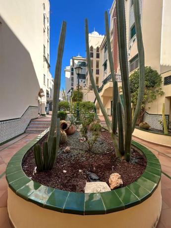 Piso en avenida Santiago Bernabéu