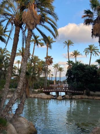 Piso en calle de Perú