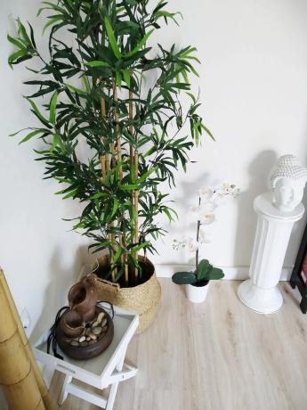 Piso en calle Vicente Alexandre, 3