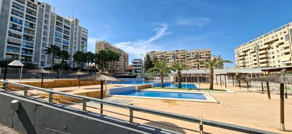 Piso en calle Catedratic Abelardo Rigual