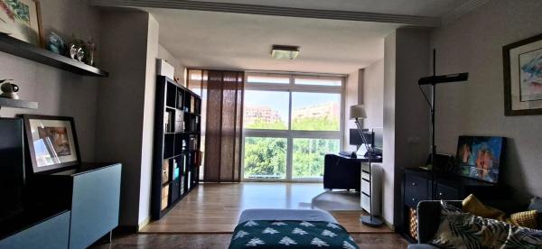 Piso en calle Catedratic Abelardo Rigual