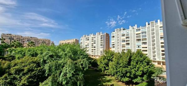 Piso en calle Catedratic Abelardo Rigual