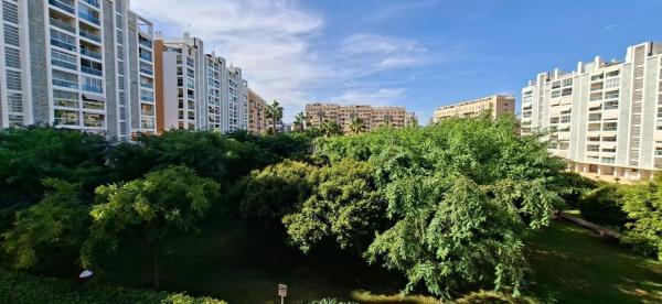 Piso en calle Catedratic Abelardo Rigual