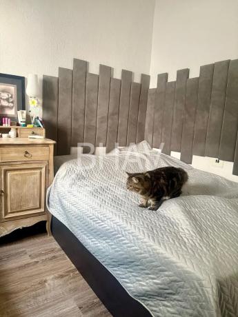 Piso en Barrio Plà del Bon Repòs-La Goteta