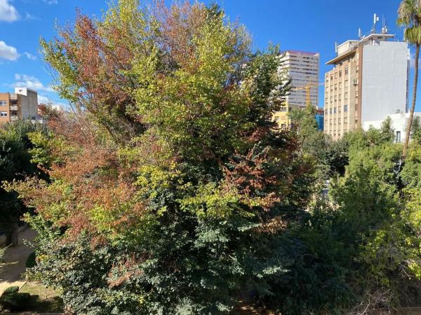 Piso en plaza Santa Teresa, 15